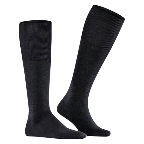 Product Image for Falke Airport Men Knee-high Socks Black