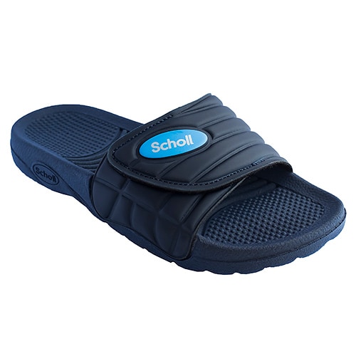 F243541040_scholl_nautilus.jpg