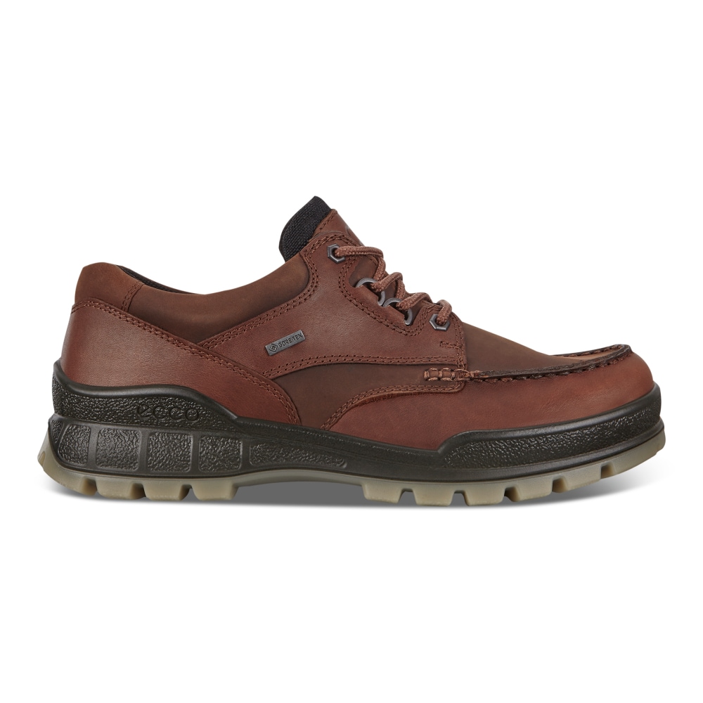 ecco-track-herr-gore-tex-bisonbison.jpg